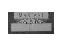 PD Mariani