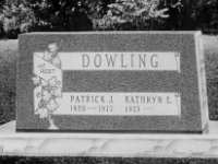 PD 459