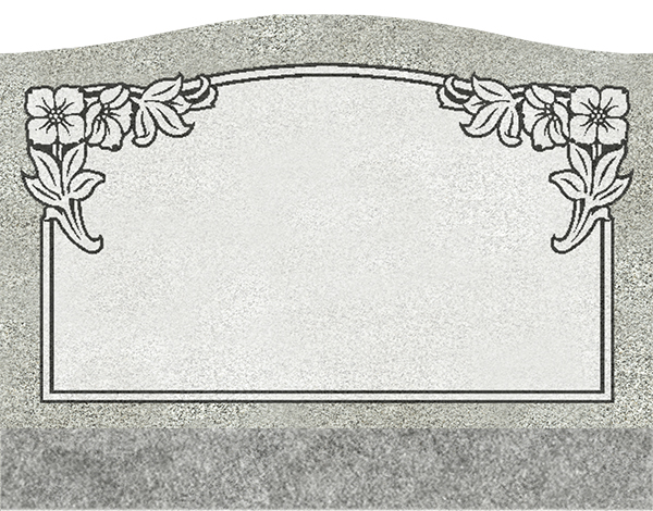 EG-3